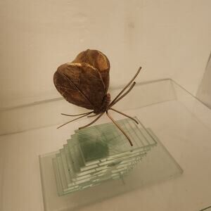 Leaf Butterfly Gold toned Leaf's Metal legs